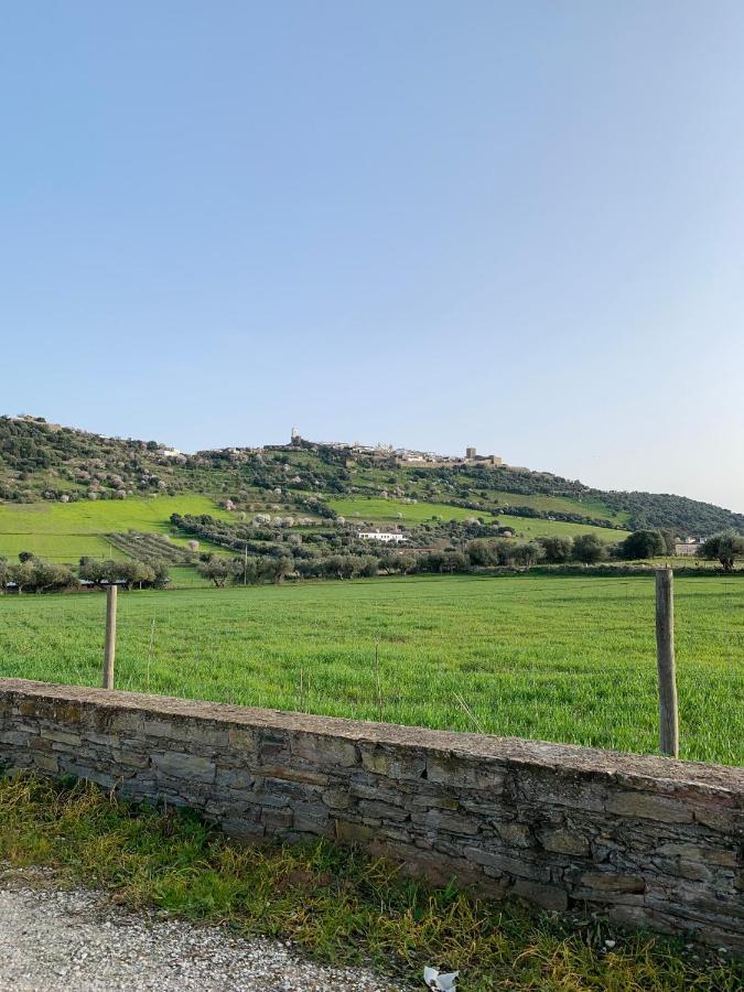 Às Portas da Vila Vila Reguengos de Reguengos de Monsaraz Exterior foto